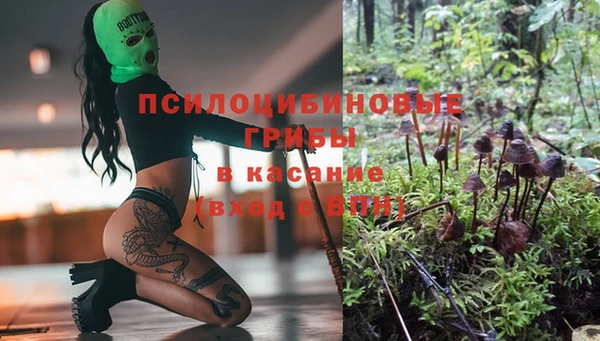 a pvp Абдулино