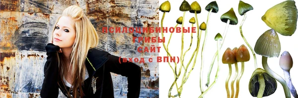 ГАЛЛЮЦИНОГЕННЫЕ ГРИБЫ Абинск