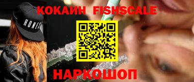 амф Кингисепп