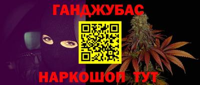амф Кингисепп