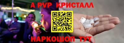 амф Кингисепп