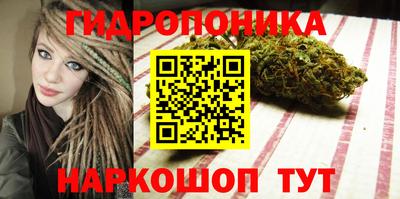 2c-b Кимры