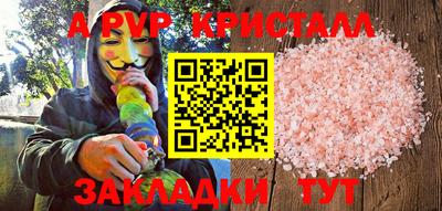 амф Кингисепп