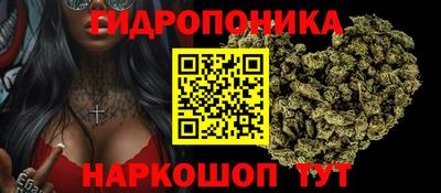 амф Кингисепп