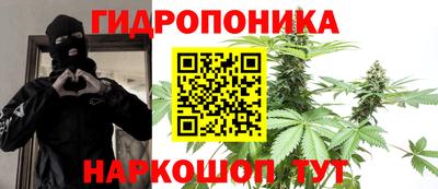 2c-b Кимры