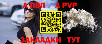 амф Кингисепп