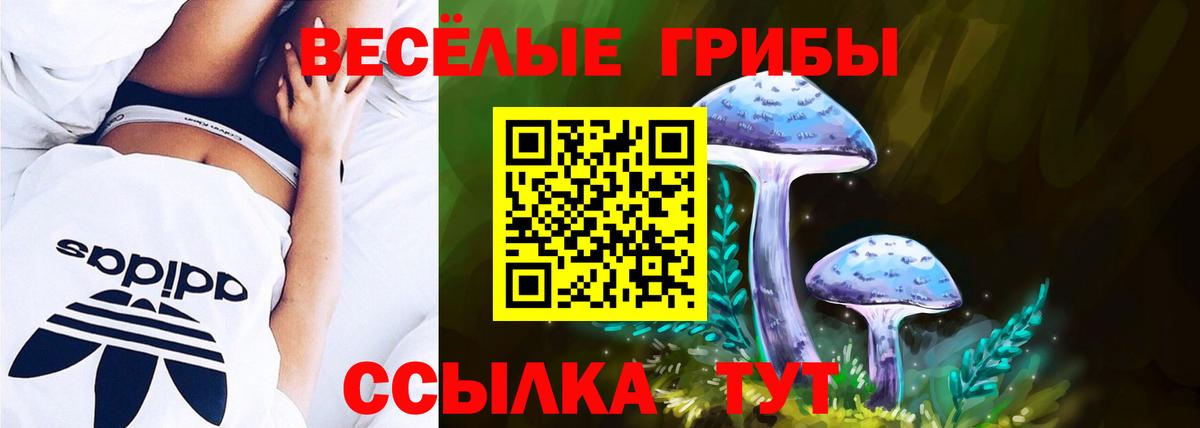 Псилоцибиновые грибы Magic Shrooms  Псилоцибиновые грибы GOLDEN TEACHER  Вход с VPN  Кострома 